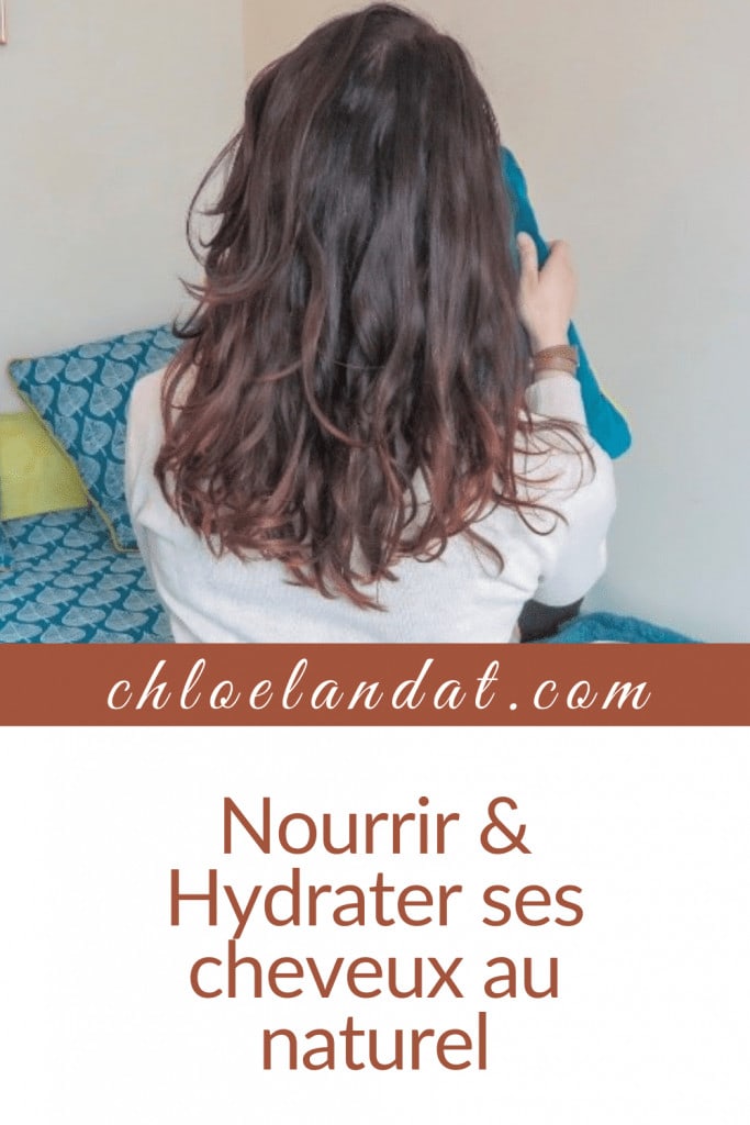Nourrir & Hydrater ses cheveux au naturel 2